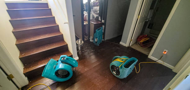 Best Basement water damage restoration  in Good Hope, CA