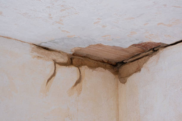 Best Water damage cleanup near me  in Good Hope, CA