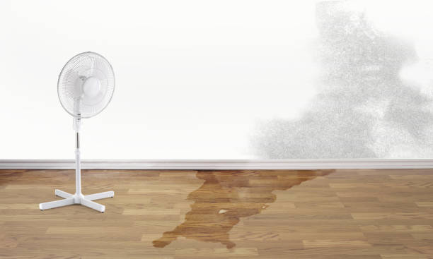 Best Fire Damage Restoration  in Good Hope, CA